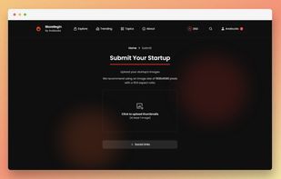 BlazeBegin screenshot 2