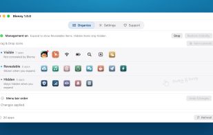 Organize window recreated on the website with sample apps. Illustration, not a live menu bar capture.