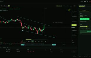 Trading practise