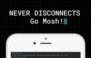 Blink Shell screenshot 1