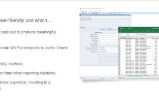 Blitz Report run window, showing selection parameters and the result - a perfectly formatted Excel Workbook.