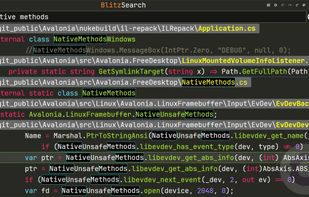 BlitzSearch screenshot 1