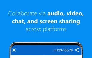 TeamViewer Meeting screenshot 1