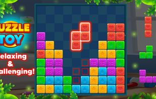 Puzzle Toy Relaxing and Challenging