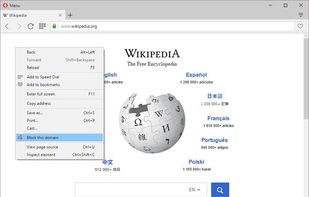 Block Site Extension screenshot 1