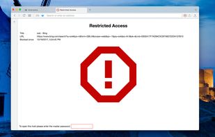 Block Site screenshot 2