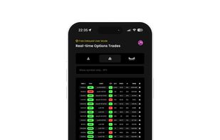 Mobile Web Application Option Flow View