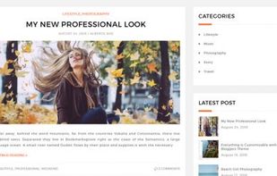 Bloggers Lite WordPress Theme screenshot 1