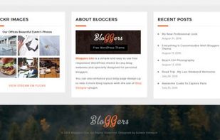 Bloggers Lite WordPress Theme screenshot 3