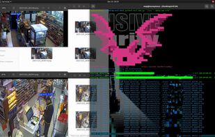 BloodCat screenshot 1