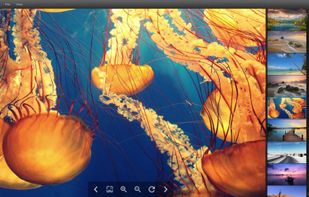 Bloom Image Viewer screenshot 1