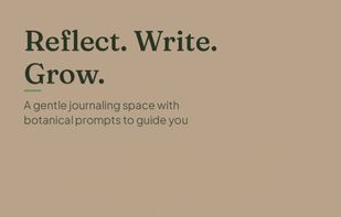 BloomDay screenshot 2