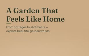 BloomDay screenshot 1