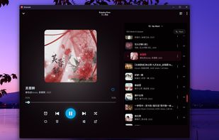 Bloomee Tunes screenshot 2