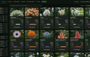 Browse tab