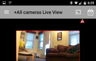 Blue Iris screenshot 3