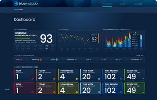 Blue Matador screenshot 1