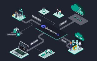 Blueberry AI screenshot 1