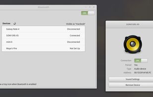 Blueberry screenshot 1