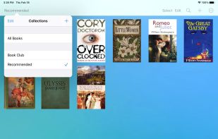 Bluefire Reader screenshot 1