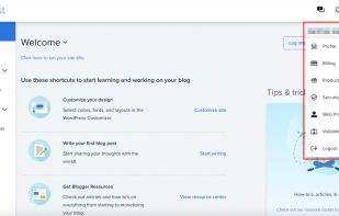 Bluehost screenshot 1
