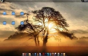 Bluestar Linux screenshot 1