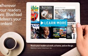 BlueToad screenshot 1