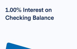 BlueVine screenshot 1