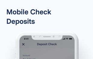 BlueVine screenshot 3