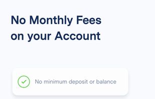 BlueVine screenshot 2