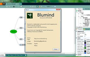 Blumind screenshot 2