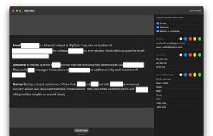 redact sensitive informations from images and pdfs automatically offline