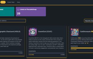 BNBpump.fun screenshot 1