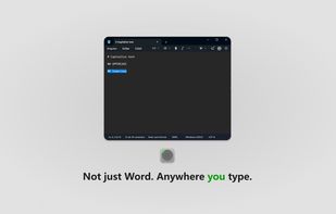 Not just Word. Anywhere you type.