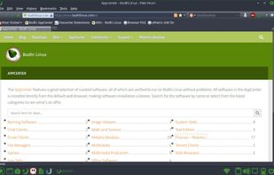 AppCenter in Bodhi as it appears on PaleMoon. Screenshot courtesy of The New Leaf Journal: https://thenewleafjournal.com/installing-and-running-bodhi-linux-on-a-2007-macbook/