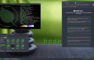 Bodhi Linux screenshot 1