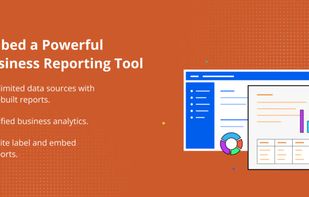 Bold Reports Report Server Features
