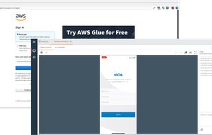 BeyondTrust screenshot 2
