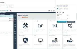 BeyondTrust screenshot 1