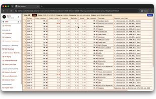 Net revenue by line item
