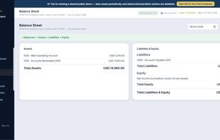 Balance Sheet report generated in real time