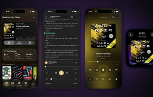 Mobile app interface