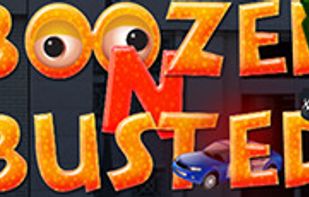 Boozed n Busted screenshot 1