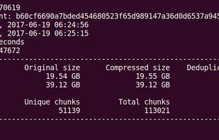 BorgBackup screenshot 1