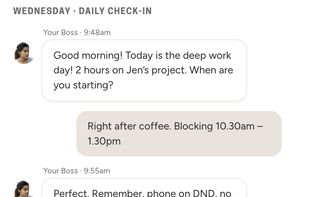 Daily check-ins with your Boss