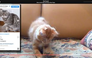 Boss Video Player screenshot 3