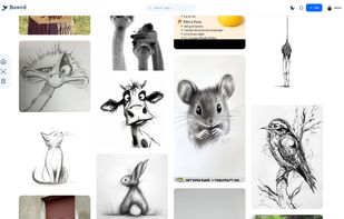 Discover images from others accounts.