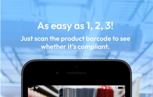 Boycat  screenshot 3