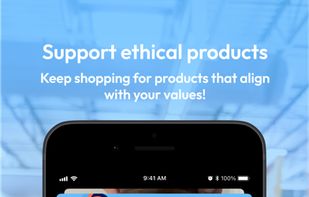 Boycat  screenshot 1