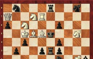 Brain King screenshot 1